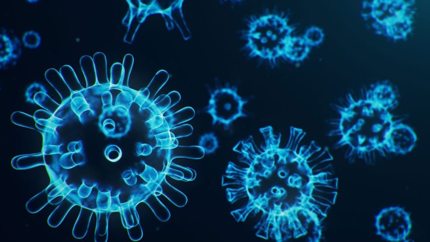 coronavirus virus transmission