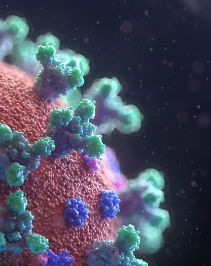 ivermectine coronavirus