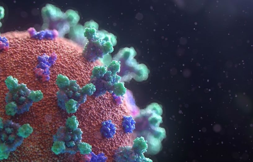 ivermectine coronavirus