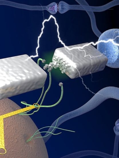 memristor neurones