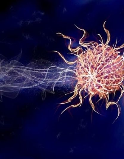 traitement antiinflammatoire