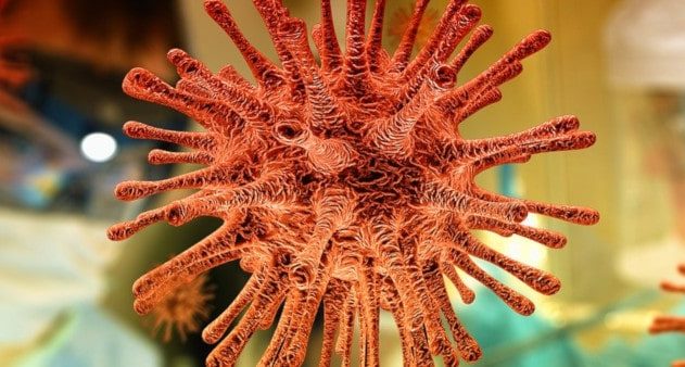 vaccin covid-19 prometteur