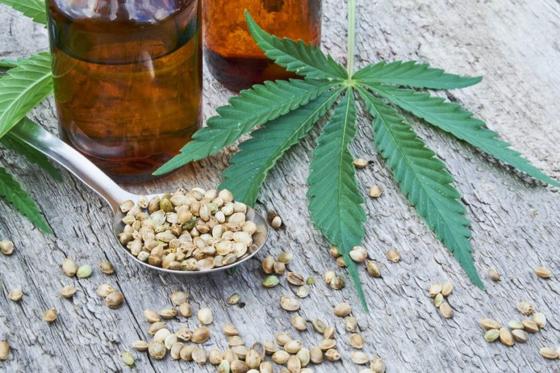 cannabis cbd thc huile