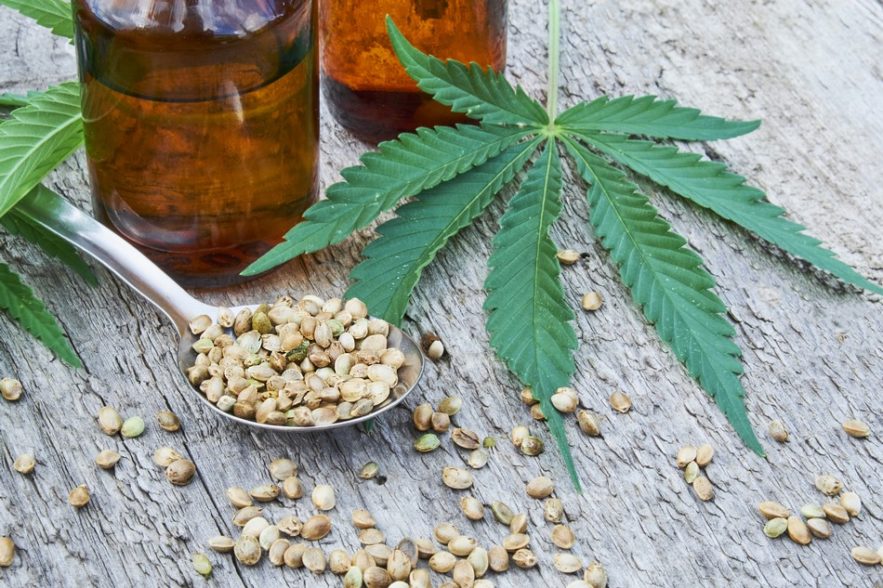 cannabis cbd thc huile