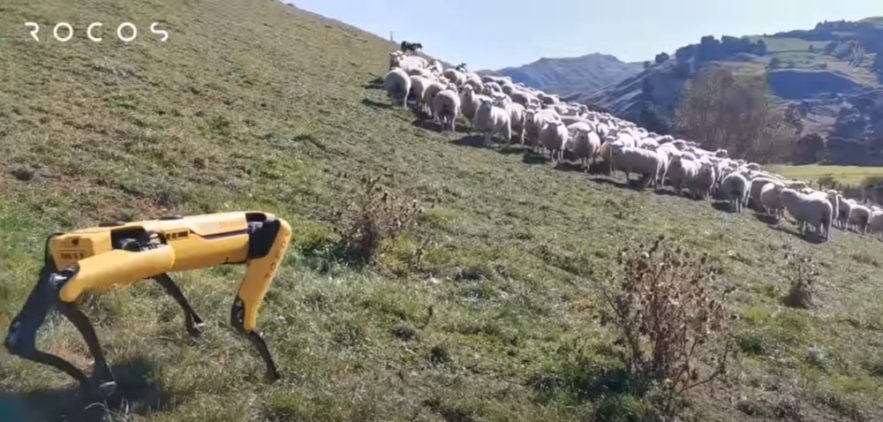 chien robot Boston Dynamics gestion flotte