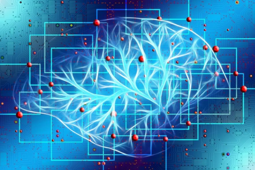communication neurones artificiels biologiques optogénétique
