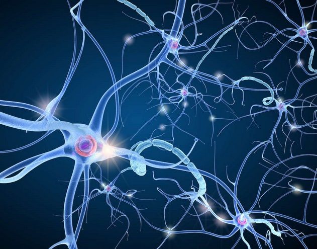 neurone communication