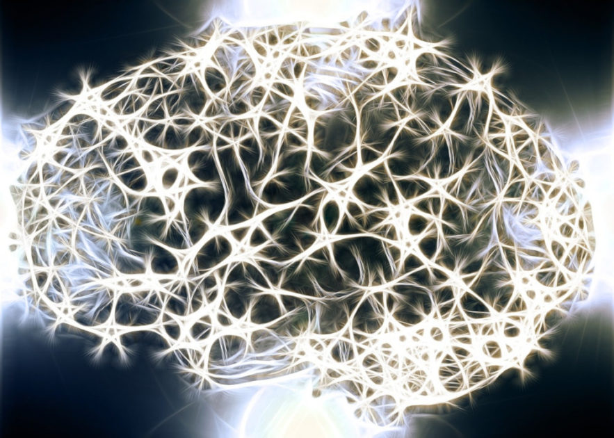 contrôle conscience cerveau claustrum