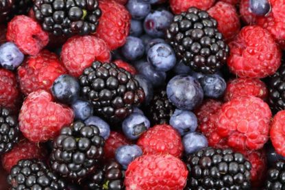 flavonoïdes protection alzheimer démence