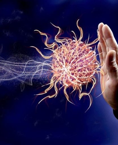 réponse immunitaire efficace infection SARS-CoV-2