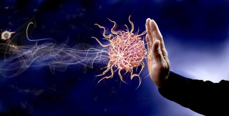 réponse immunitaire efficace infection SARS-CoV-2