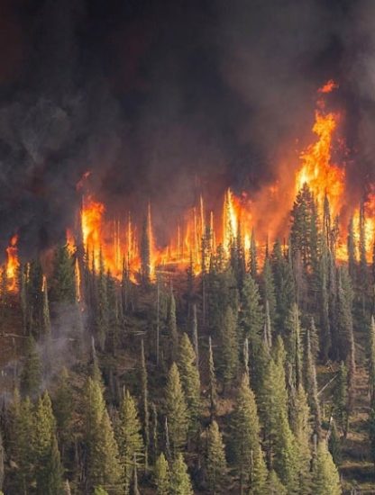 incendies siberie