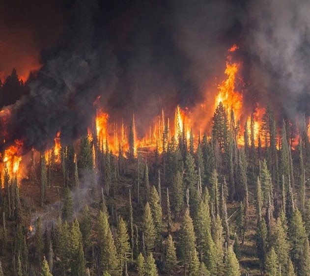 incendies siberie