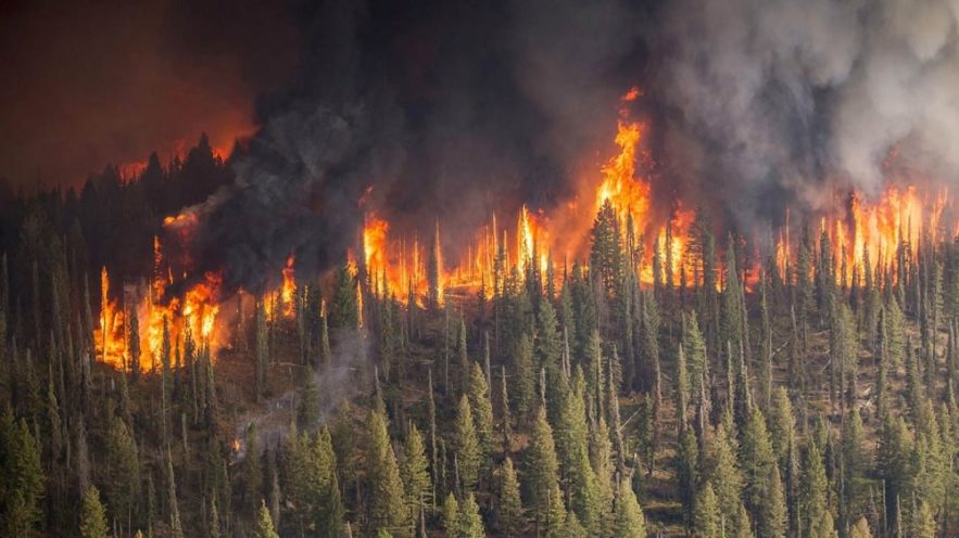 incendies siberie