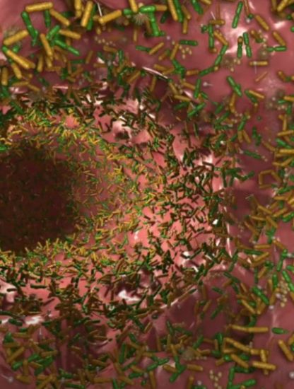 microbiote intestin influence cerveau