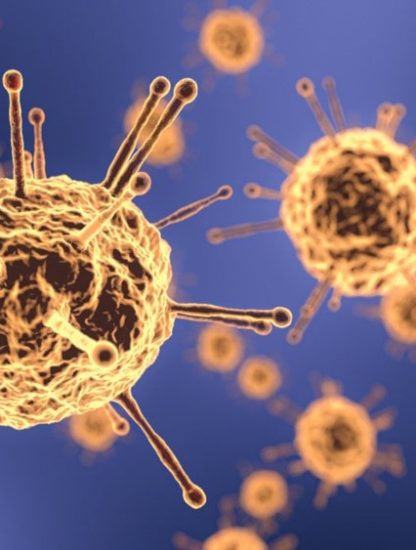 traitement coronavirus anticorps neutralisants