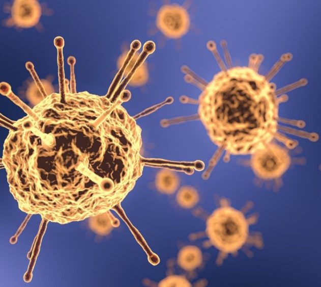 traitement coronavirus anticorps neutralisants