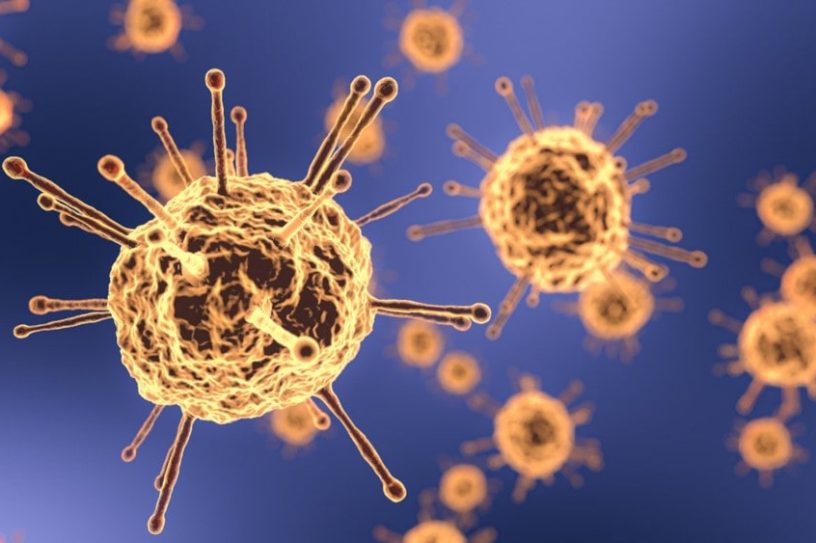traitement coronavirus anticorps neutralisants