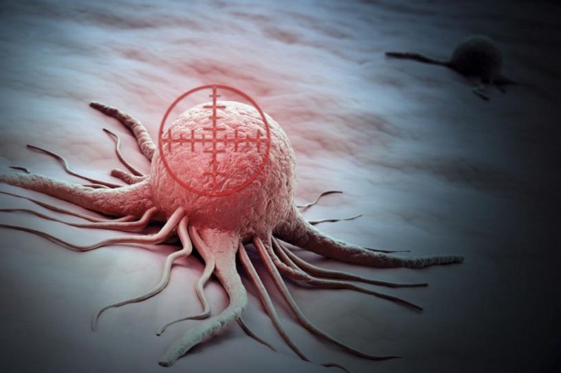 cellule cancereuse cancer immunitaire système