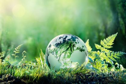 environnement