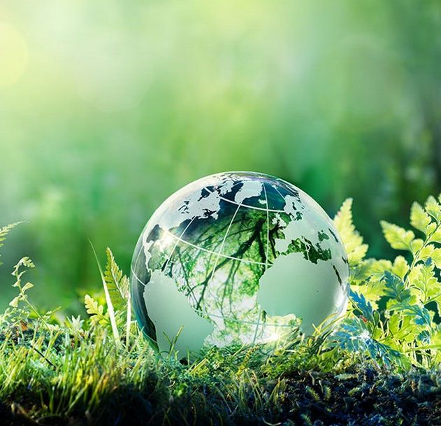 environnement