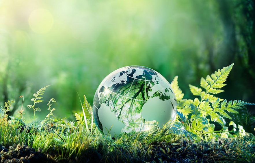 environnement