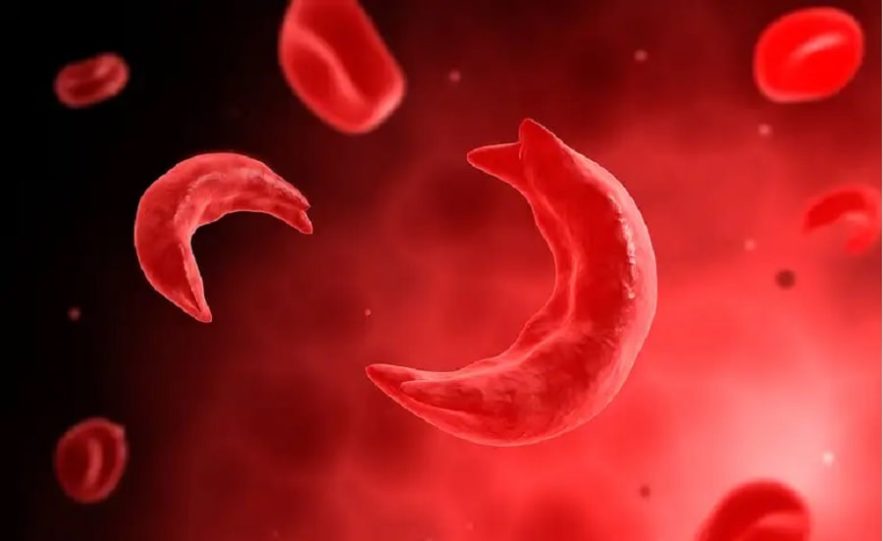 maladies crispr