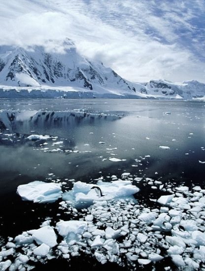 rechauffement antarctique