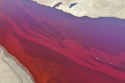 riviere arctique polluee diesel