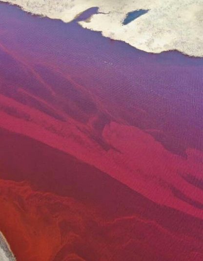 riviere arctique polluee diesel