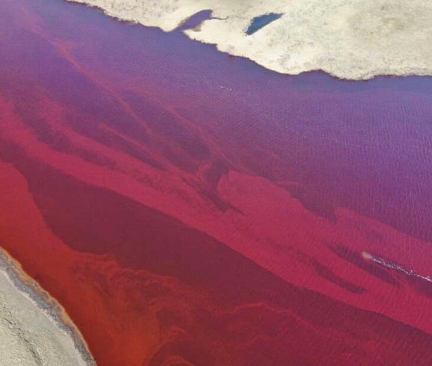 riviere arctique polluee diesel