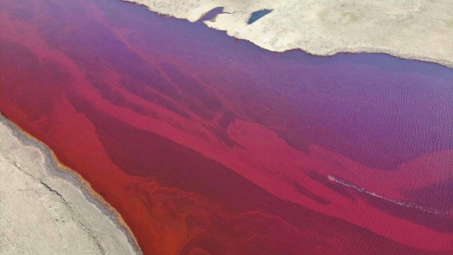 riviere arctique polluee diesel