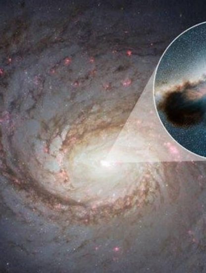 couronne neutrinos