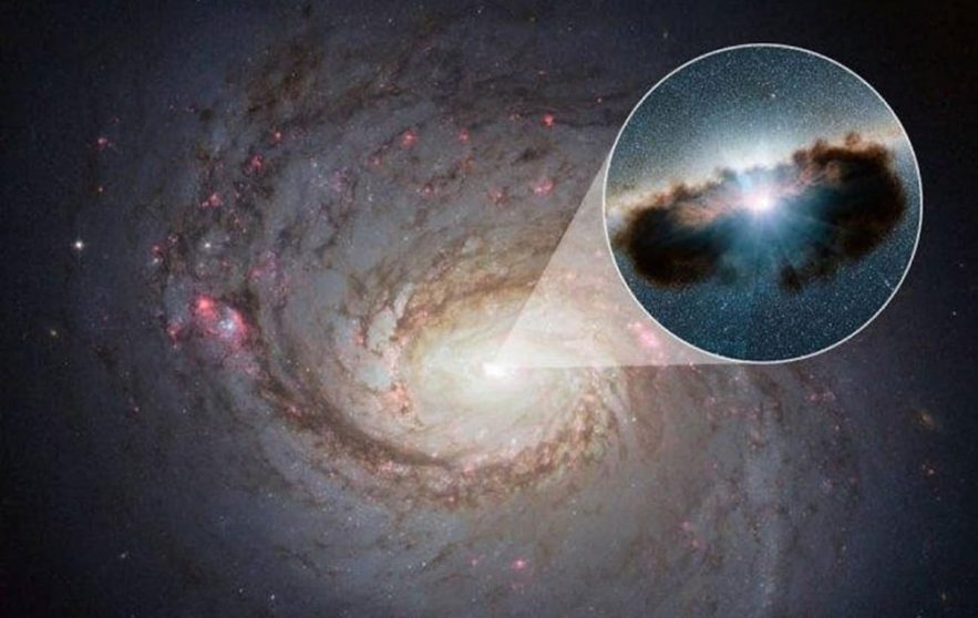 couronne neutrinos