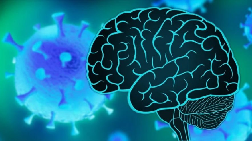 covid cerveau
