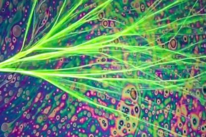 écoulement ramifié onde lumière