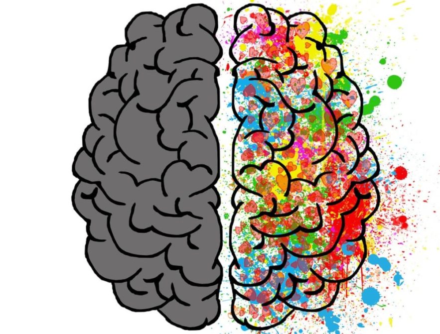 effets protéine foie fonctions cérébrales