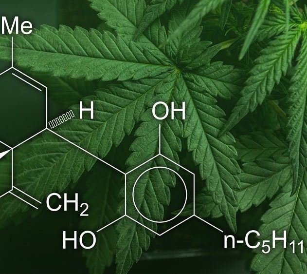 huile cbd