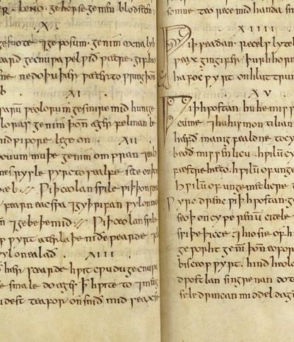 remede-texte-bald