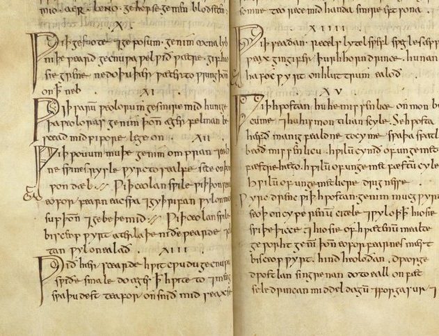 remede-texte-bald