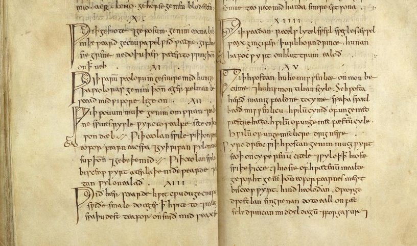 remede-texte-bald