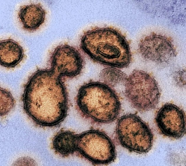 mutation coronavirus