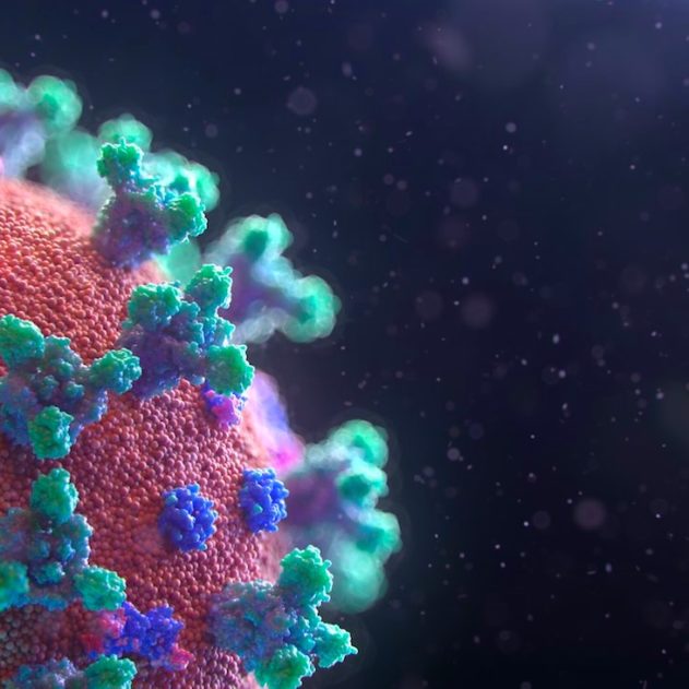 nsp16 enzyme coiffe covid