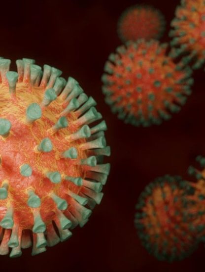origine coronavirus animaux