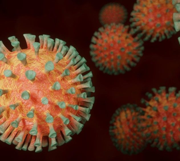origine coronavirus animaux