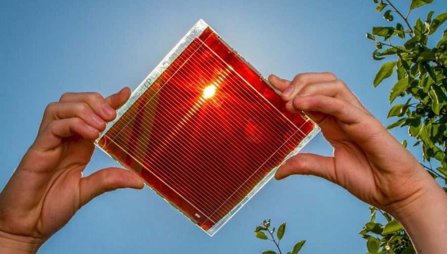 perovskites cellules