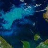 prolifération phytoplancton océan arctique