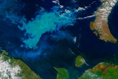 prolifération phytoplancton océan arctique