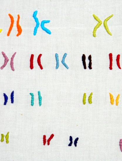 séquençage complet chromosome X