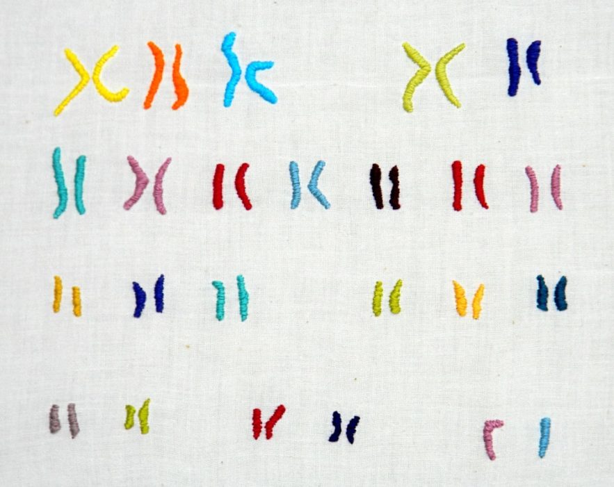 séquençage complet chromosome X